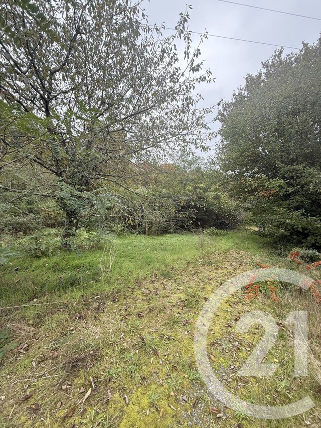 terrain à vendre - 1386.0 m2 - PESSAC - 33 - AQUITAINE - Century 21 A.C.O