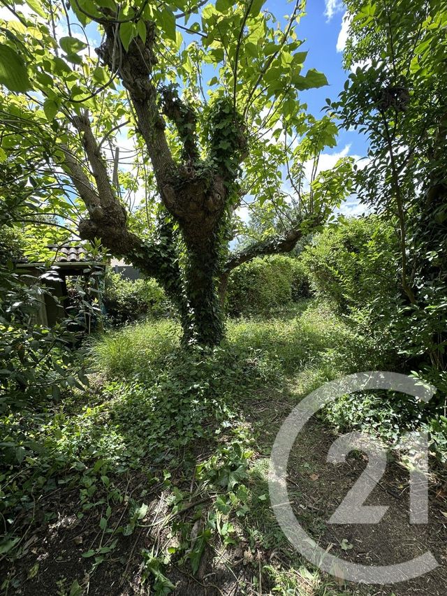 maison à vendre - 4 pièces - 78.93 m2 - PESSAC - 33 - AQUITAINE - Century 21 A.C.O